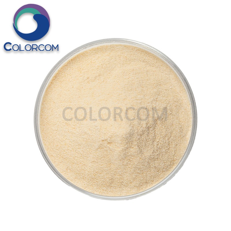 Compound enzymes by solid fermentation (Xylanase + Mannanase + Amylase + Protease)